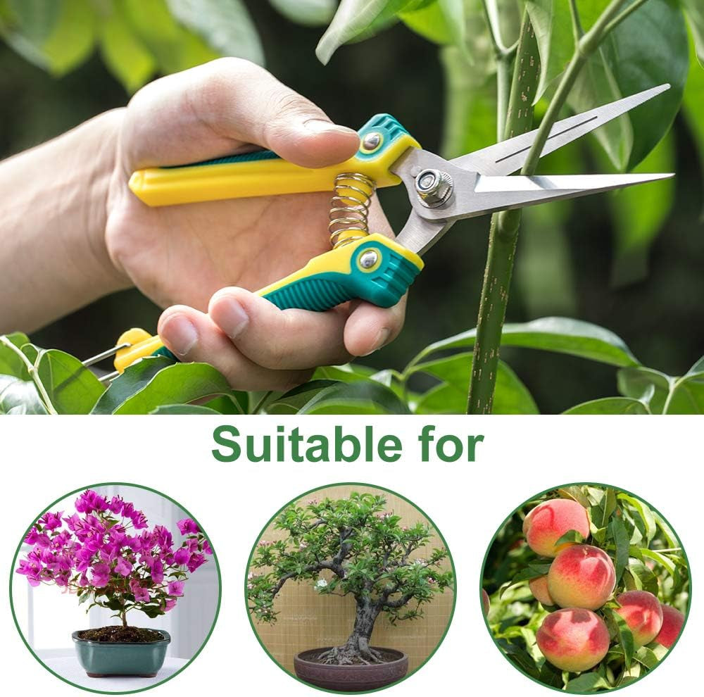 Professional Pruning Scissors – 8.1" Gardening Shears with Straight Stainless Steel Blades – Sharp Hand Pruner for Trimming Plants, Flowers, Fruits & Vegetables