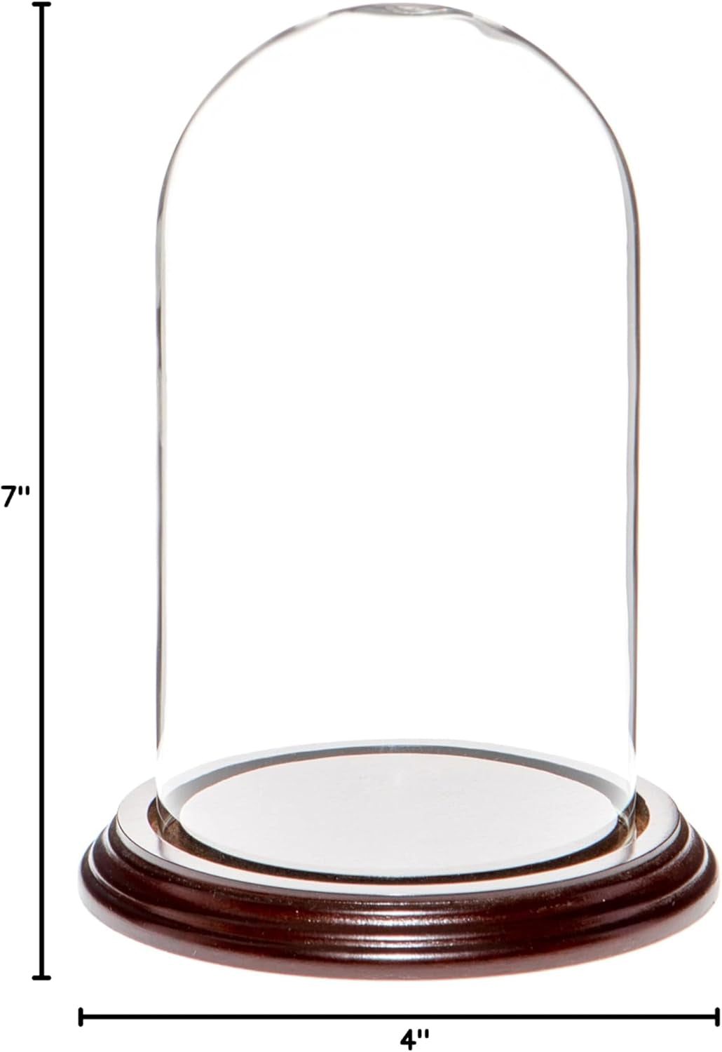 4" x 7" Small Glass Display Dome Cloche with Dark Mahogany Veneer Base