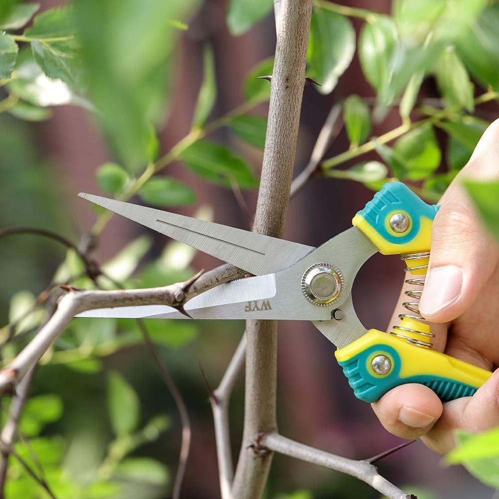 Professional Pruning Scissors – 8.1" Gardening Shears with Straight Stainless Steel Blades – Sharp Hand Pruner for Trimming Plants, Flowers, Fruits & Vegetables
