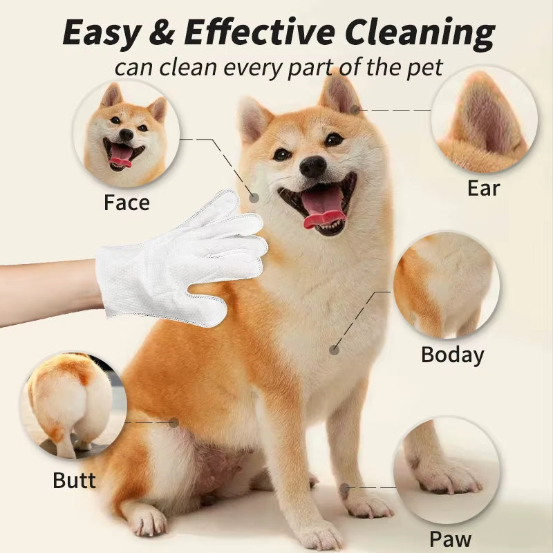6PCS Disposable Pet Cleaning Gloves – No-Rinse Bath Wipes