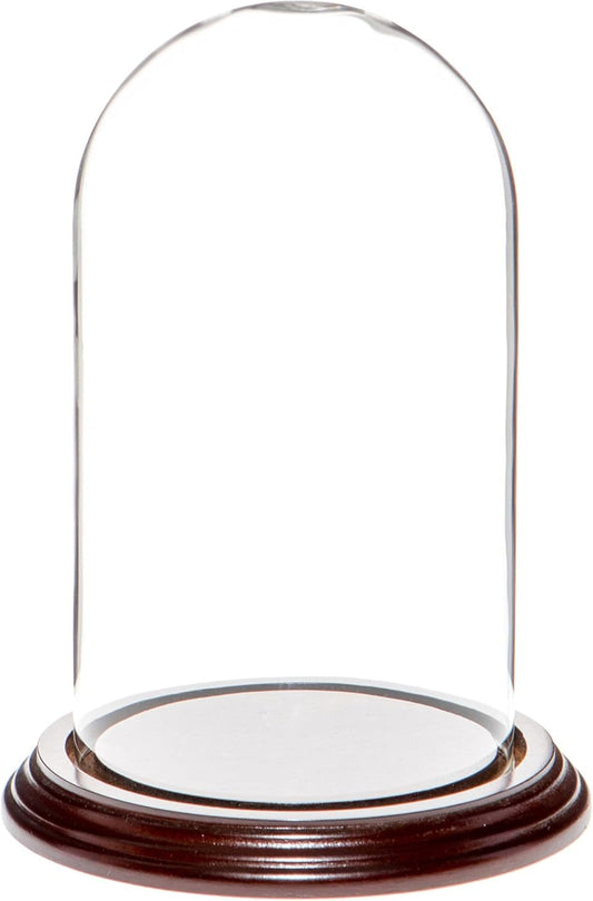 4" x 7" Small Glass Display Dome Cloche with Dark Mahogany Veneer Base