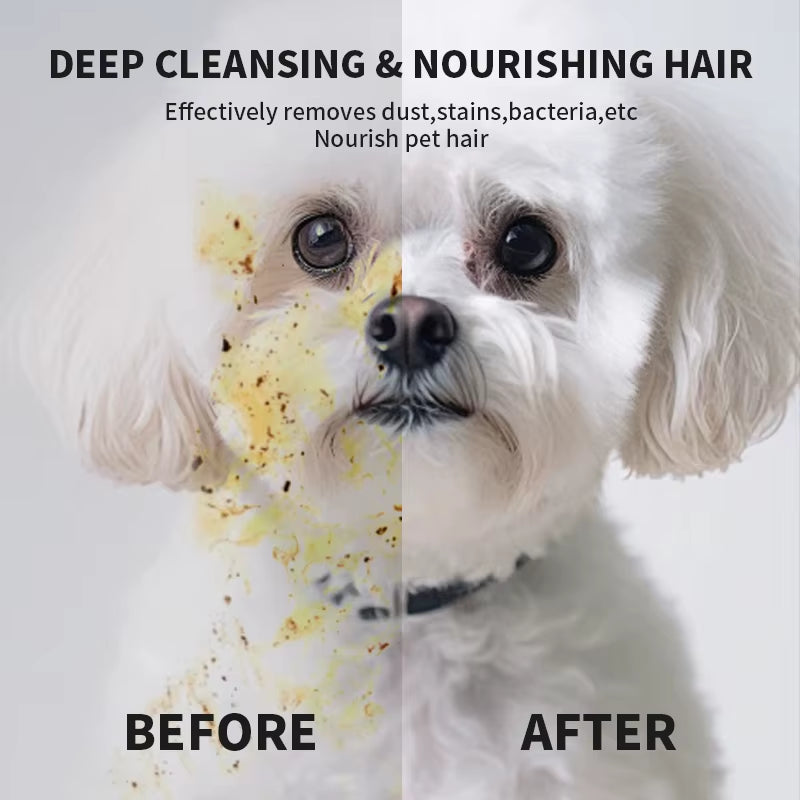 6PCS Disposable Pet Cleaning Gloves – No-Rinse Bath Wipes