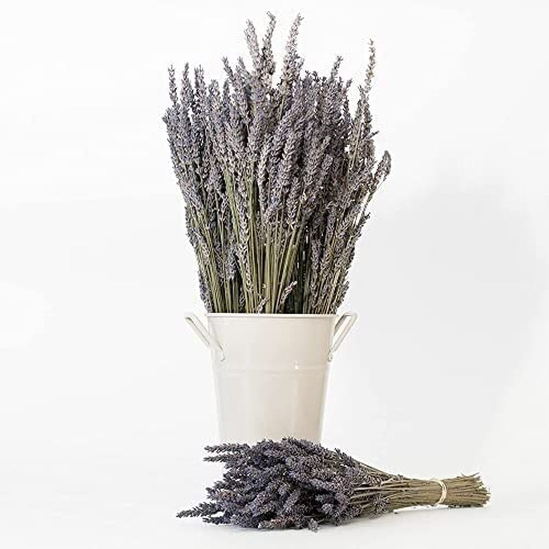 Lavender Pillow & Linen Spray, 2-Pack – Handmade Aromatherapy Mist, 16 oz Total